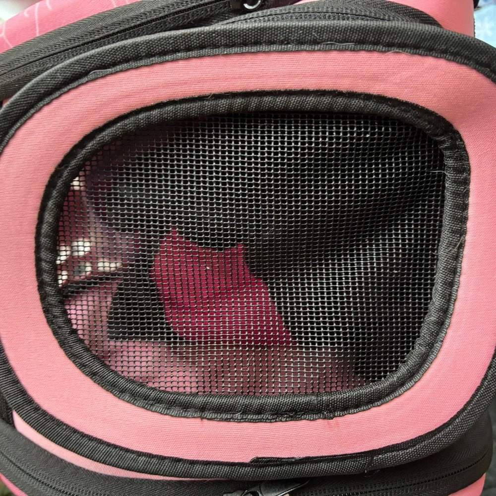 SOFT SIDED DOG CARRIER